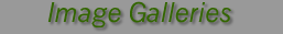 Image Galleries